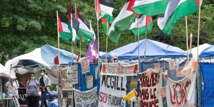 പലസ്തീൻ അനുകൂല സംഘടനയ്ക്ക് പിന്തുണ: മെക്ഗിൽ സർവകലാശാലക്കെതിരെ യൂണിയനുകളുടെ ഗുരുതര ആരോപണം 1 unions