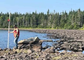 Bonavista