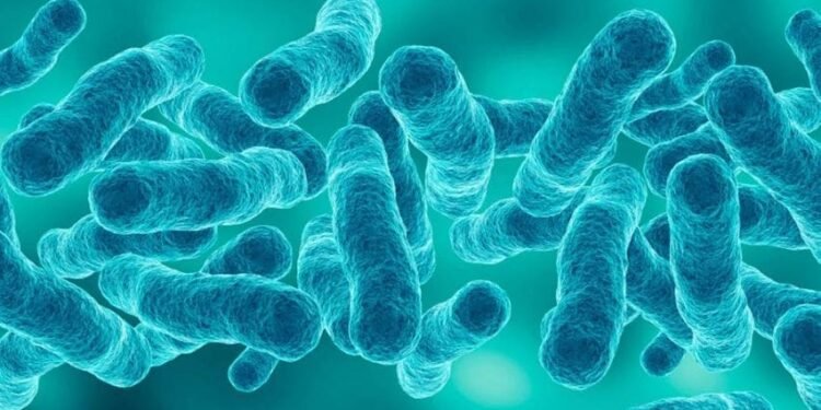 ന്യൂയോർക്കിൽ ലീജണേഴ്‌സ് രോഗം പടരുന്നു; നാല് മരണം, 99 പേർക്ക് രോ​ഗം സ്ഥിരീകരിച്ചു