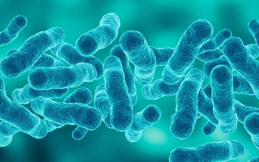 ന്യൂയോർക്കിൽ ലീജണേഴ്‌സ് രോഗം പടരുന്നു; നാല് മരണം, 99 പേർക്ക് രോ​ഗം സ്ഥിരീകരിച്ചു