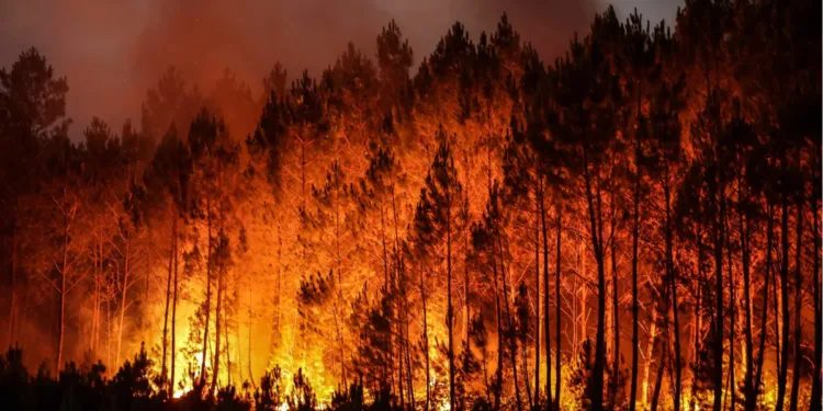 വാൻകൂവർ ദ്വീപിൽ കാട്ടുതീ; ഒഴിപ്പിക്കൽ പ്രഖ്യാപിച്ചു; ബി.സി-യിൽ വായുമലിനീകരണം രൂക്ഷം