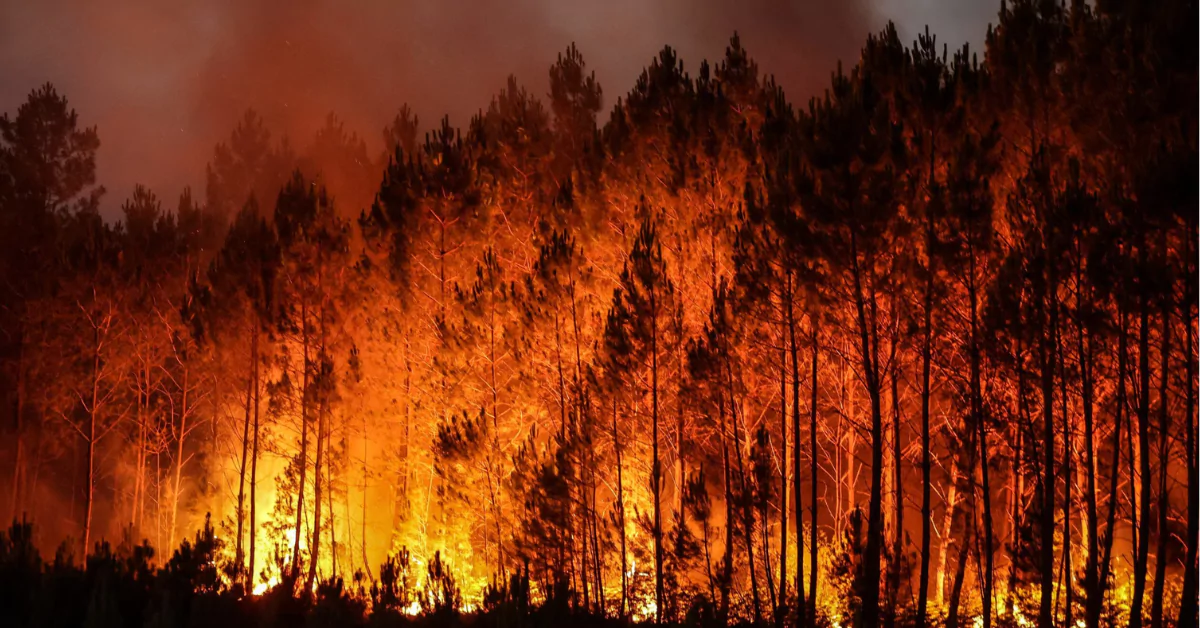 വാൻകൂവർ ദ്വീപിൽ കാട്ടുതീ; ഒഴിപ്പിക്കൽ പ്രഖ്യാപിച്ചു; ബി.സി-യിൽ വായുമലിനീകരണം രൂക്ഷം