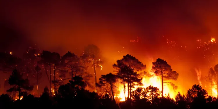 നോവാ സ്കോഷ്യയെ വിറപ്പിച്ച് ഡൽഹൗസി കാട്ടുതീ; 2000 ഹെക്ടർ കവിഞ്ഞു! 1 forest fire