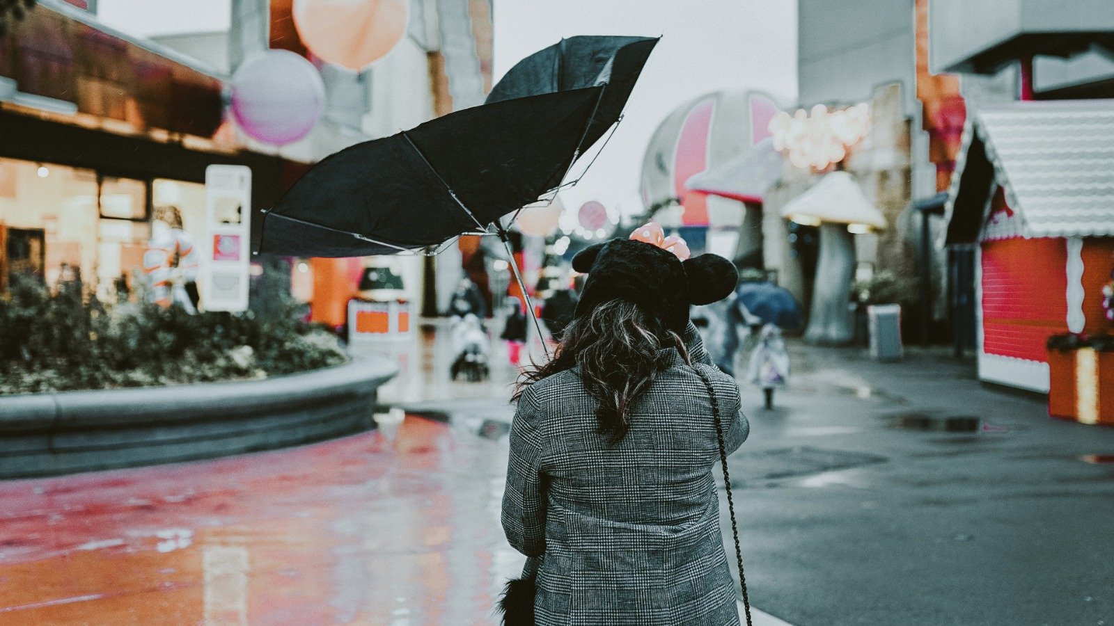 ടൊറന്റോയിൽ ശക്തമായ കാറ്റ്; ജാഗ്രതാ നിർദേശം നൽകി കാലാവസ്ഥാ ഏജൻസി