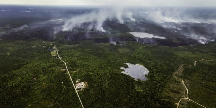 തീവ്രശ്രമത്തിലും അണയാതെ കാട്ടുതീ; നോവ സ്കോഷ്യയിൽ ദുരിതം വിതച്ച് ലോങ് ലേക്ക് അഗ്നിബാധ 1 തീവ്രശ്രമത്തിലും അണയാതെ കാട്ടുതീ; നോവ സ്കോഷ്യയിൽ ദുരിതം വിതച്ച് ലോങ് ലേക്ക് അഗ്നിബാധ