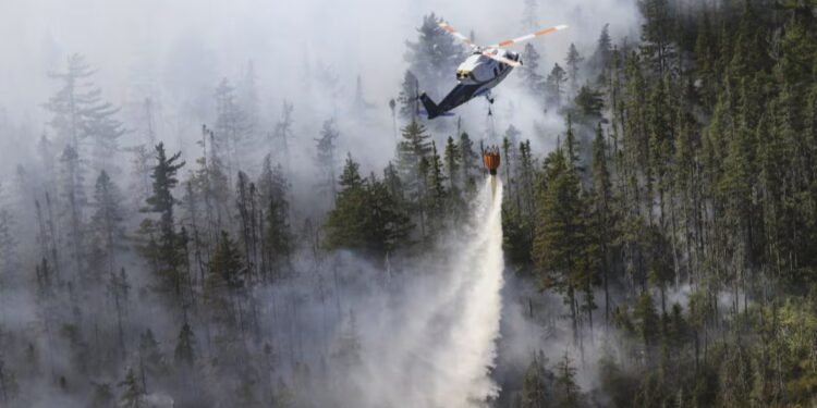 ലോങ് ലേക്കിലെ കാട്ടുതീ കെട്ടടങ്ങി; കൂടുതൽ ആളുകൾക്ക് വീടുകളിലേക്ക് മടങ്ങാം 1 ലോങ് ലേക്കിലെ കാട്ടുതീ കെട്ടടങ്ങി; കൂടുതൽ ആളുകൾക്ക് വീടുകളിലേക്ക് മടങ്ങാം