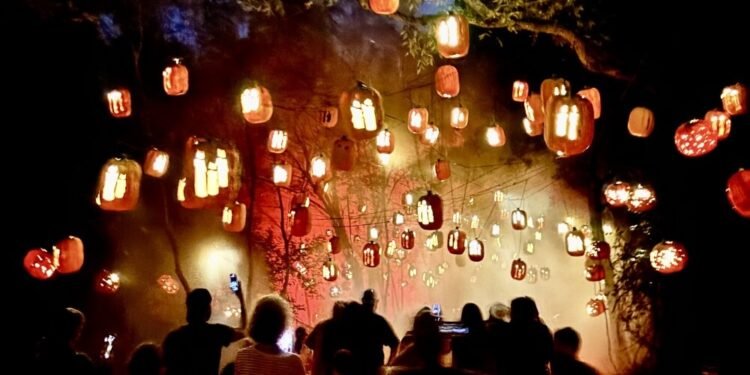 വേറിട്ട ആഘോഷങ്ങളുമായി കൽഗറി: കാണാം, ഈ വർഷത്തെ മികച്ച ശരത്കാല ഇവന്റുകൾ