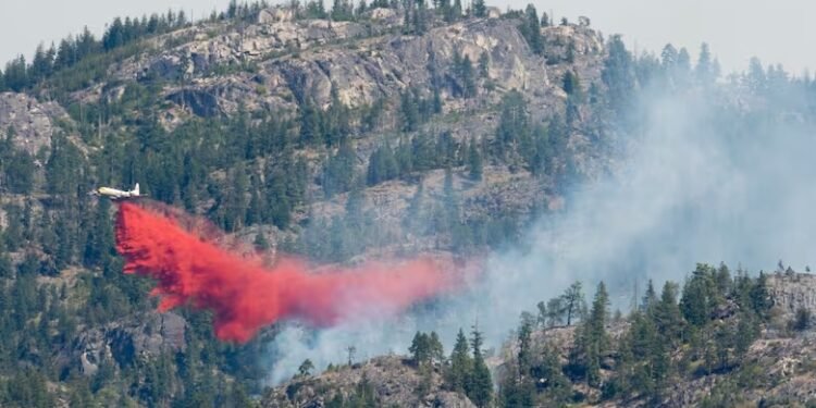കാട്ടുതീയെ പ്രതിരോധിക്കാൻ ഫയർ റിട്ടാർഡന്റുകൾ; ഗുണത്തേക്കാളേറെ ദോഷങ്ങളോ?