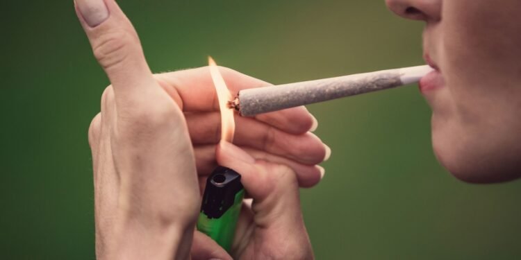 കനാബിസ് ഉപയോഗം ഈ രോഗങ്ങൾക്ക് കാരണമാകും; പുതിയ പഠന റിപ്പോർട്ട്