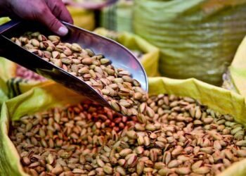 മോൺട്രിയൽ പിസ്തകളിൽ സാൽമൊണെല്ല: ഈ രണ്ട് കമ്പനികളുടെ ഉത്പന്നങ്ങൾ പിൻവലിച്ചു