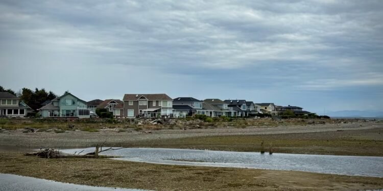 അധികാരം തേടി ഫ്രഞ്ച് ക്രീക്ക് ജനത; പോരാട്ടം ശക്തമാക്കി ഗ്രാമീണർ