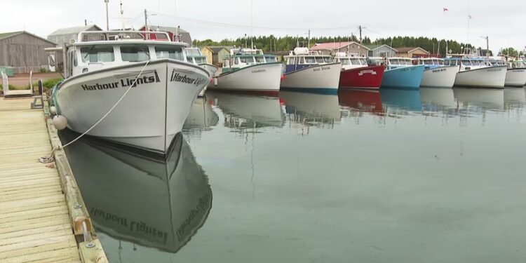 മാറ്റത്തിന്റെ കാറ്റ്: PEI ‘സാവേജ് ഹാർബറി’ന് പുതിയ പേര് നൽകാൻ വോട്ടെടുപ്പ്