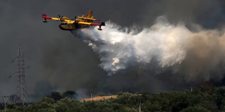 കാനഡയ്ക്ക് സ്വന്തമായി ദേശീയ കാട്ടുതീ പ്രതിരോധ ഏജൻസി വേണം: ആവശ്യം ഉന്നയിച്ച് എംപി