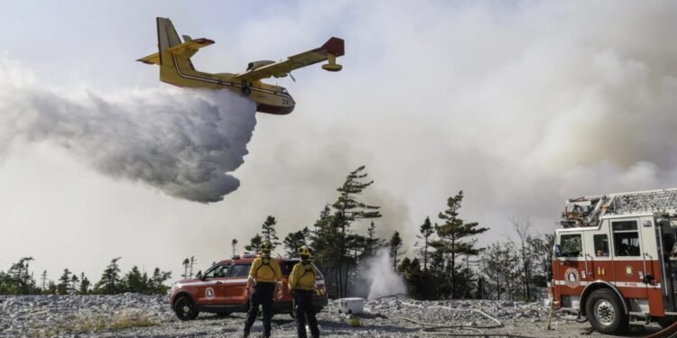 ഒടുവിൽ ആശ്വാസം! 6 ആഴ്ചത്തെ പോരാട്ടത്തിനൊടുവിൽ അന്നാപോളിസ്; കാട്ടുതീ നിയന്ത്രണവിധേയമായി