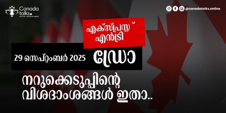 express entry pnp draw