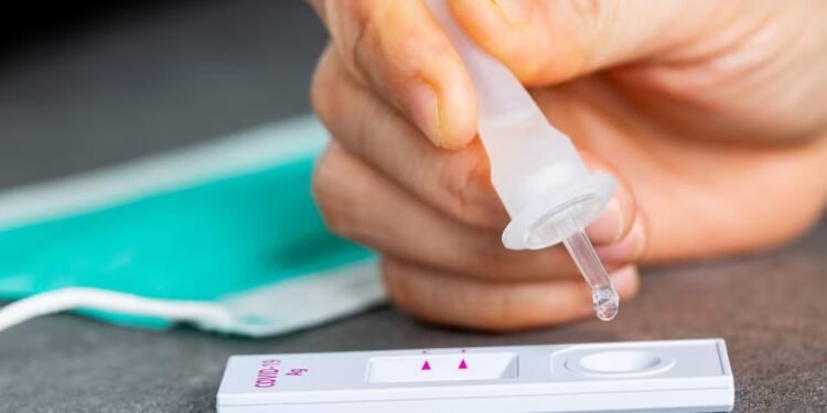 ഇനി കോവിഡ് ടെസ്റ്റിന് പണം നൽകേണ്ടി വരും ;സൗജന്യ വിതരണം നിർത്തലാക്കാൻ PEI സർക്കാർ 1 ഇനി കോവിഡ് ടെസ്റ്റിന് പണം നൽകേണ്ടി വരും ;സൗജന്യ വിതരണം നിർത്തലാക്കാൻ PEI സർക്കാർ