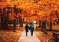 Fall season