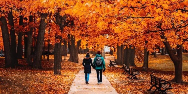 ഒന്റാരിയോയിൽ ഫാൾ സീസൺ നേരത്തെ തുടങ്ങി; ഈ കാഴ്ച കണ്ടില്ലെങ്കിൽ നഷ്ടം! 1 Fall season