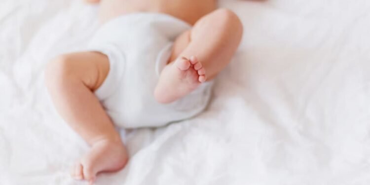 വീട്ടിലിനി ഡയപ്പർ കെട്ടിക്കിടക്കില്ല! വിൻഡ്സറിൽ ഡയപ്പർ നീക്കത്തിന് ഇനി പ്രത്യേക വഴി 1 baby