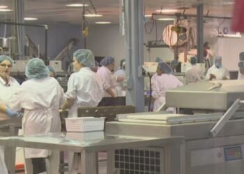 seafood processing sector