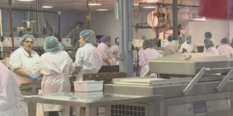 seafood processing sector