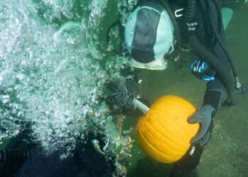 The rules of the challenge state a diver cannot start carving until below the surface.