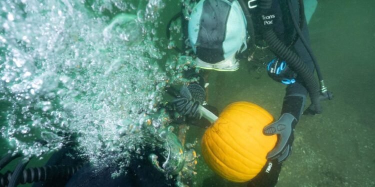 The rules of the challenge state a diver cannot start carving until below the surface.