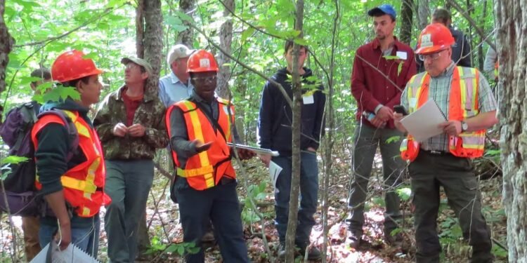മരം മുറിക്കേണ്ട; വനത്തിലെ 'രഹസ്യ കേന്ദ്രം' പറഞ്ഞ് കൊടുക്കാൻ എ.ഐ. മാപ്പ് 1 മരം മുറിക്കേണ്ട; വനത്തിലെ ‘രഹസ്യ കേന്ദ്രം’ പറഞ്ഞ് കൊടുക്കാൻ എ.ഐ. മാപ്പ്