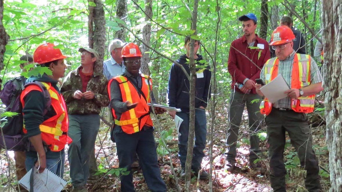 മരം മുറിക്കേണ്ട; വനത്തിലെ ‘രഹസ്യ കേന്ദ്രം’ പറഞ്ഞ് കൊടുക്കാൻ എ.ഐ. മാപ്പ്