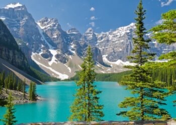 alberta