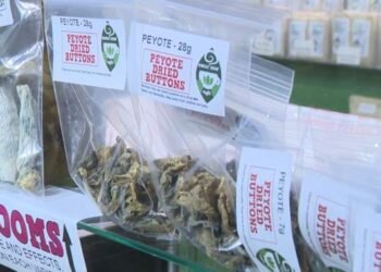 തലച്ചോറിനെ ഉണർത്തും, മയക്കമില്ല: ഇത് വിഷാദം അകറ്റാനുള്ള പുതിയ വഴി: ഭ്രാന്തമായ ചിന്തകൾക്ക് പൂട്ടിടാൻ മാജിക് മഷ്റൂം! കാനഡയിൽ ചരിത്രപരമായ പുതിയ ക്ലിനിക്കൽ ട്രയൽ! 1 first-canadian-federal-grant-to-study-psilocybin