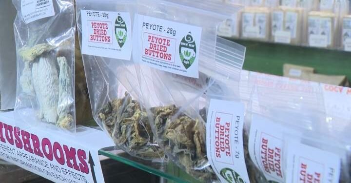 first-canadian-federal-grant-to-study-psilocybin