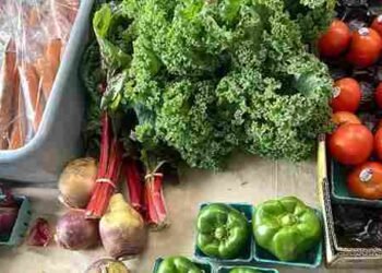 vegitables