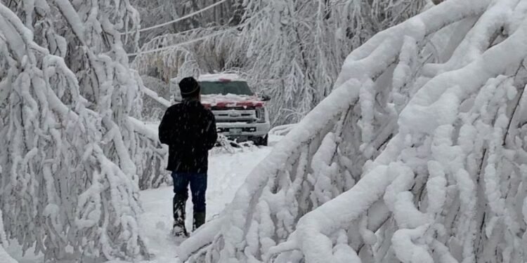 വടക്കൻ മാനിറ്റോബയെ ഇരുട്ടിലാക്കി കനത്ത മഞ്ഞുവീഴ്ച: 12,000-ത്തിലധികം വീടുകളിൽ വൈദ്യുതി മുടങ്ങി, അറ്റകുറ്റപ്പണികൾ തുടരുന്നു