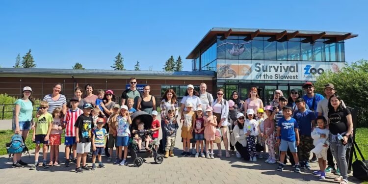 കുടിയേറ്റ വിദ്യാർത്ഥികൾക്ക് ഇനി പേടിവേണ്ട: സാമൂഹിക പിന്തുണയുമായി സെറ്റിൽമെൻ്റ് ജീവനക്കാർ