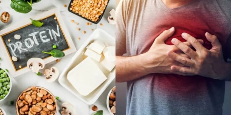 മസിൽ പെരുപ്പിക്കാൻ ഹൈ-പ്രൊട്ടീൻ ഡയറ്റ്; 35-ാം വയസ്സിൽ ഹൃദയാഘാതം വന്നേക്കാം: പഠനങ്ങള്‍ പറയുന്നത് ഇങ്ങനെ