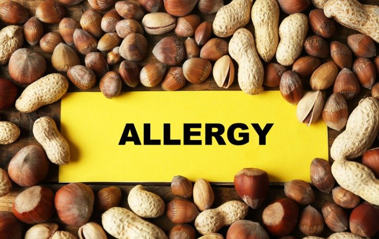 പീനട്ട് എന്ന രക്ഷകൻ: 60,000 കുഞ്ഞുങ്ങൾക്ക് അലർജിയിൽ നിന്ന് മോചനം; പഠനം നൽകുന്നത് ആശ്വാസ വാർത്ത!