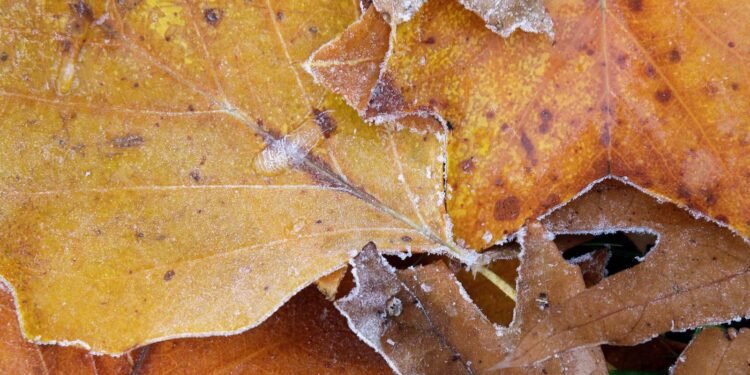 അതിശൈത്യ മുന്നറിയിപ്പ്: മാരിടൈംസ് മേഖലയിൽ അതിശക്തമായ മഞ്ഞുവീഴ്ചയ്ക്ക് സാധ്യത 1 അതിശൈത്യ മുന്നറിയിപ്പ്: മാരിടൈംസ് മേഖലയിൽ അതിശക്തമായ മഞ്ഞുവീഴ്ചയ്ക്ക് സാധ്യത