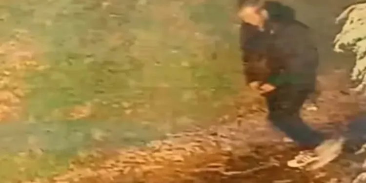 A 20-year-old woman was brutally raped