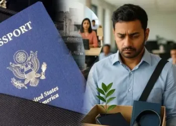 automatic renewal of work permits in the United States