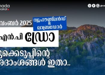 NLPNP, AIP ഡ്രോ; നവംബർ 12-ന് നടന്ന നറുക്കെടുപ്പിന്റെ വിശദാംശങ്ങൾ അറിയാം