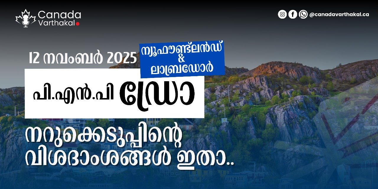 NLPNP, AIP ഡ്രോ; നവംബർ 12-ന് നടന്ന നറുക്കെടുപ്പിന്റെ വിശദാംശങ്ങൾ അറിയാം