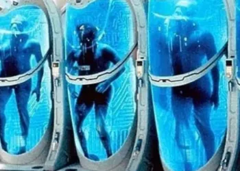 body will be drained of fluids