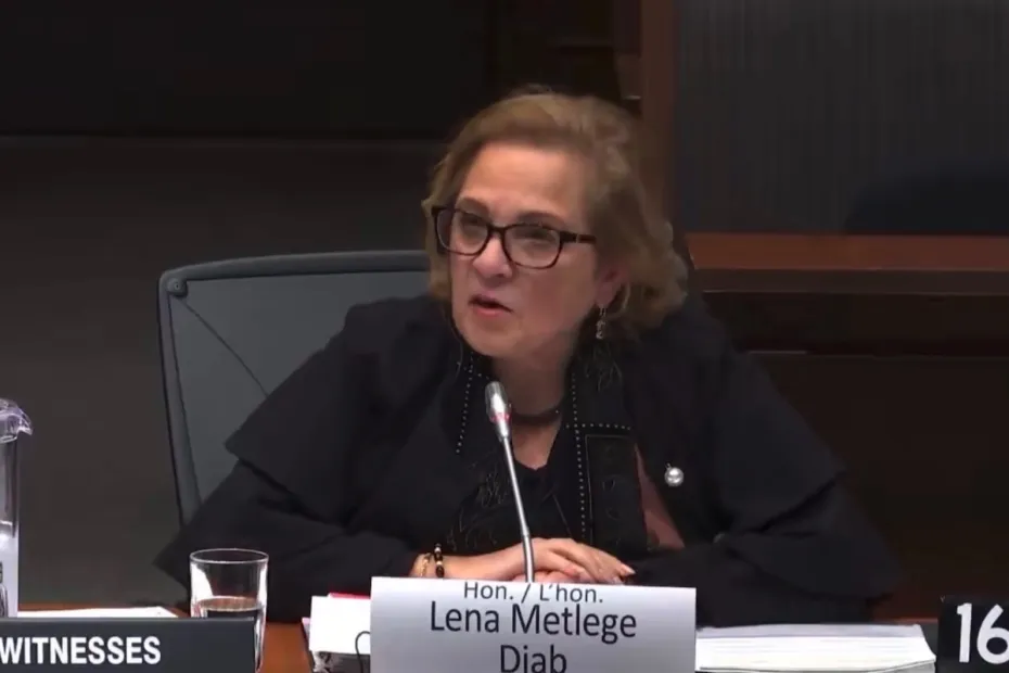 Immigration minister Lena Metlege