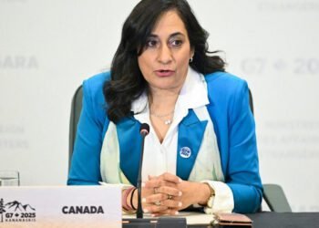 anita anand