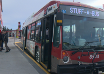 Stuff-a-Bus