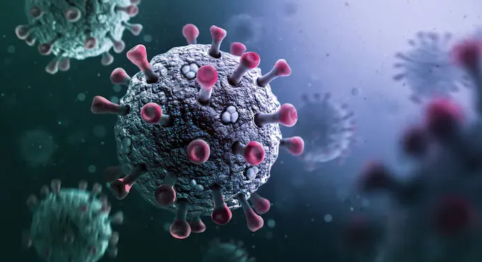 H3N2 വൈറസിന് രൂപമാറ്റം; കഠിനമായ ഫ്ലൂ സീസണിലേക്ക് കാനഡ; മുതിർന്നവർ ജാഗ്രത പാലിക്കണമെന്ന് വിദഗ്ധർ 1 H3N2