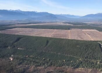 കരാർ ലംഘനം: ടൈഷെങിന് തിരിച്ചടി; 6.18 മില്യൺ ഡോളർ നിക്ഷേപം ടെറസ് നഗരസഭയ്ക്ക് സ്വന്തം