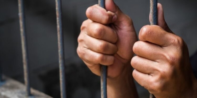 കുട്ടികളെ പീഡിപ്പിച്ച കേസ്: കൈവശം 60,000-ത്തിലധികം ദൃശ്യങ്ങൾ!; വയോധികന് രണ്ട് വർഷം തടവ് 1 കുട്ടികളെ പീഡിപ്പിച്ച കേസ്: കൈവശം 60,000-ത്തിലധികം ദൃശ്യങ്ങൾ!; വയോധികന് രണ്ട് വർഷം തടവ്