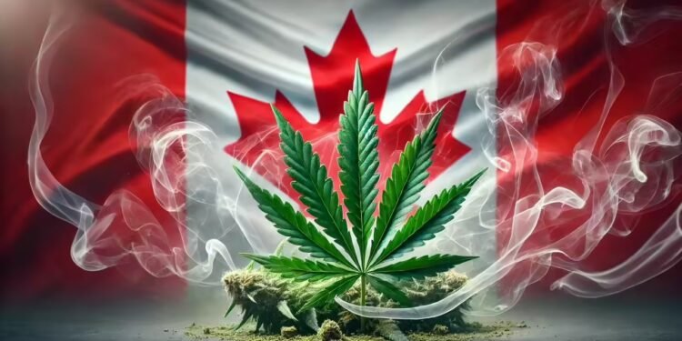 കാനഡയിൽ കനാബിസ് കച്ചവടം പൊടിപൊടിക്കുന്നു; 5 വർഷം കൊണ്ട് കേന്ദ്ര-സംസ്ഥാന ഖജനാവിലേക്ക് $5.4 ബില്യൺ!